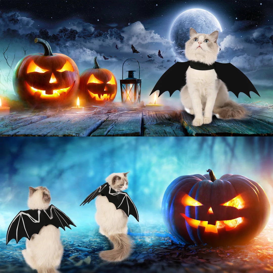 Spooktacular Creations Bat Wings Cat Costume 4 Spooktacular Creations Bat Wings Cat Costume