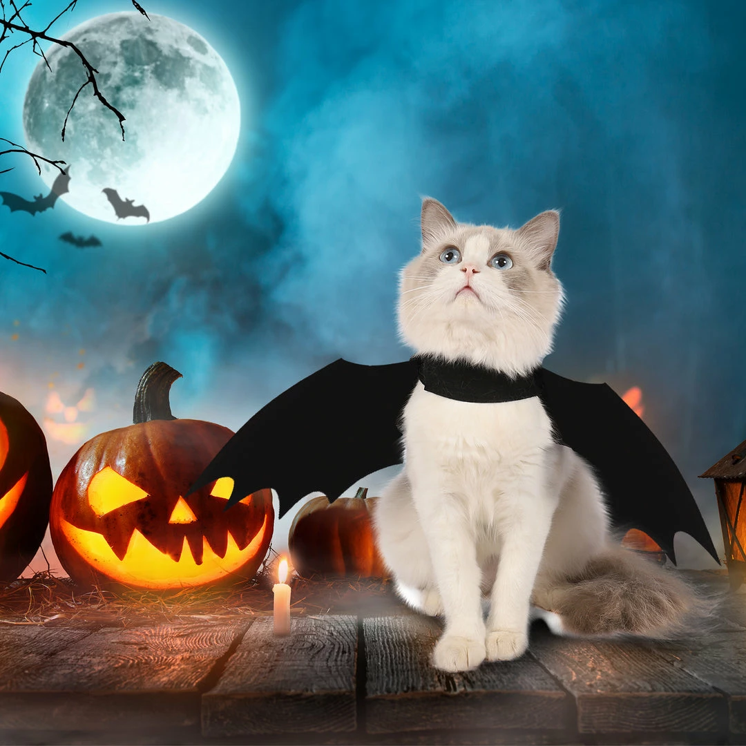 Spooktacular Creations Bat Wings Cat Costume 6 Spooktacular Creations Bat Wings Cat Costume