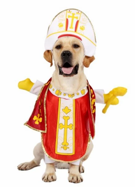 Spooktacular Creations Pet Costumes Pope Dog Funny Costume 3 Spooktacular Creations Pet Costumes Pope Dog Funny Costume