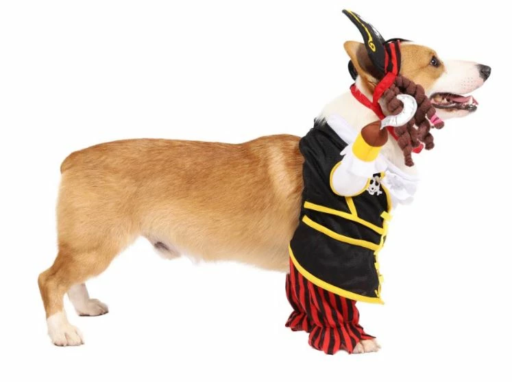 Spooktacular Creations Pirate Dog Funny Costume 5 Spooktacular Creations Pirate Dog Funny Costume