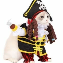 Spooktacular Creations Pirates Cat Funny Costume