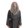 Spooktacular Creations Men Grey Wizard Wig With Beard Cosplay- Adult Wigs