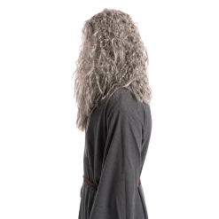 Spooktacular Creations Men Grey Wizard Wig With Beard Cosplay- Adult Wigs