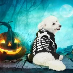 Spooktacular Creations Skeleton Pet Costume Pet Costumes