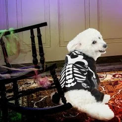 Spooktacular Creations Skeleton Pet Costume Pet Costumes